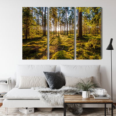 Ljuddämpande tavla - 3d sunny forest landscape