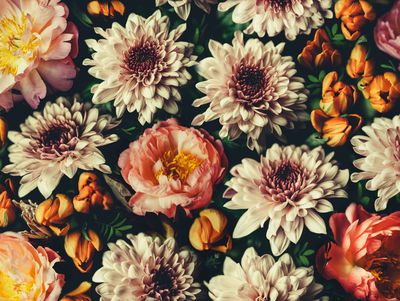 Ljuddämpande tavla - Variety of colorful 3d