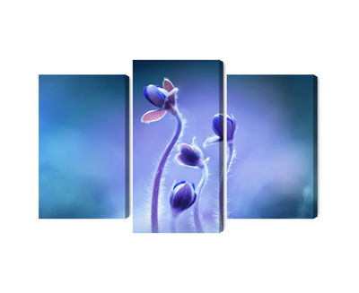 Ljuddämpande tavla - Delicate flowers on a macro