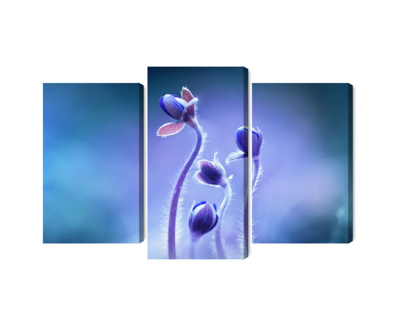 Ljuddämpande tavla - Delicate flowers on a macro