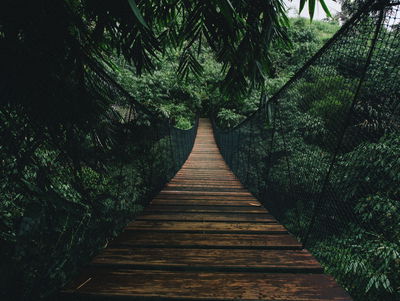Ljuddämpande tavla - Wooden suspension bridge