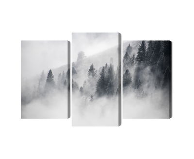 Ljuddämpande tavla - The forest is shrouded in fog