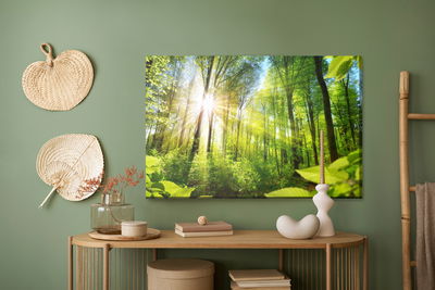 Ljuddämpande tavla - Sunrise in a green forest