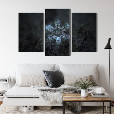 Ljuddämpande tavla - Snow flake in 3d macro scale