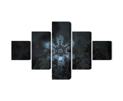 Ljuddämpande tavla - Snow flake in 3d macro scale