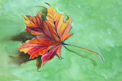 Ljuddämpande tavla - Autumn maple leaf painted