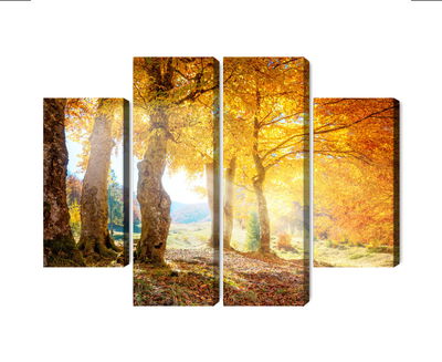 Ljuddämpande tavla - Sunny autumn forest