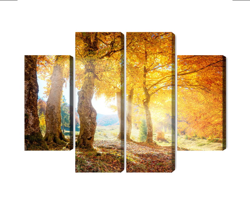 Ljuddämpande tavla - Sunny autumn forest