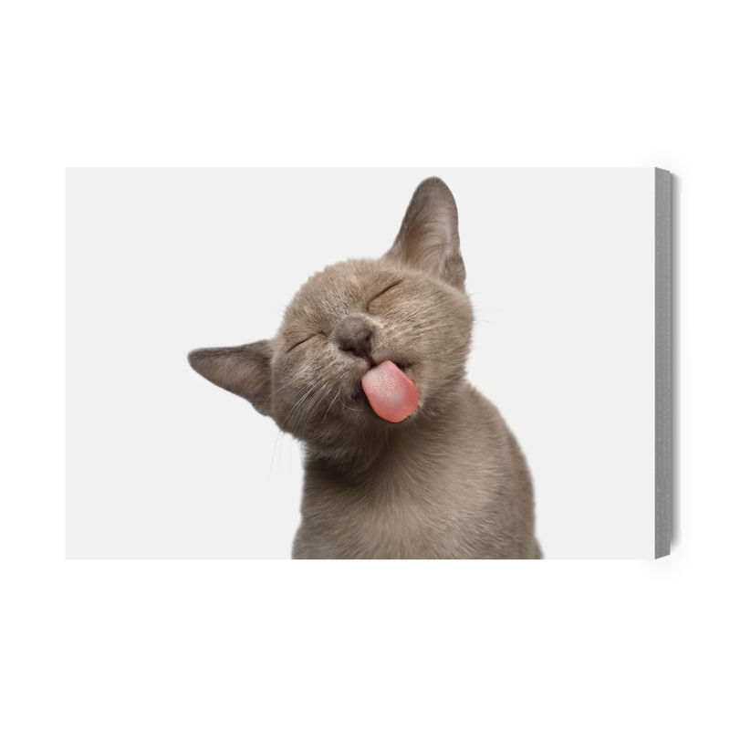 Ljuddämpande tavla - Lovely kitten