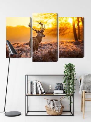 Ljuddämpande tavla - Deer in the forest at sunset