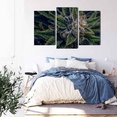 Ljuddämpande tavla - Cannabis plant close up