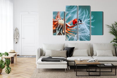 Ljuddämpande tavla - Ladybug on a dandelion