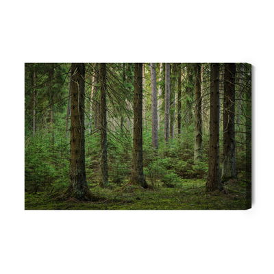 Ljuddämpande tavla - Forest 3d view