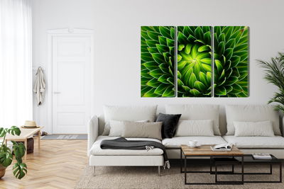 Ljuddämpande tavla - Green plant on a macro scale