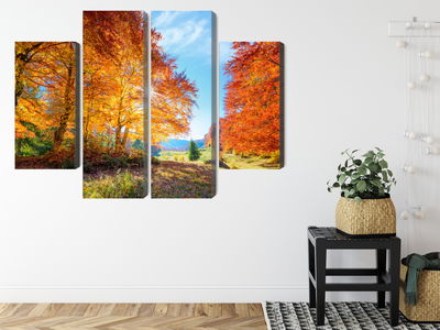 Ljuddämpande tavla - Colorful autumn trees