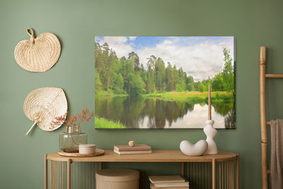 Ljuddämpande tavla - Forest landscape with a lake