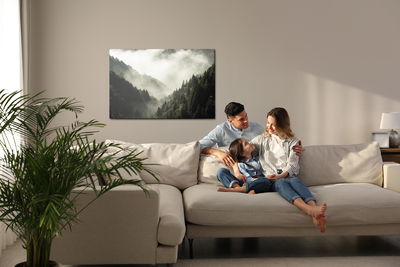 Ljuddämpande tavla - High mountain in mist