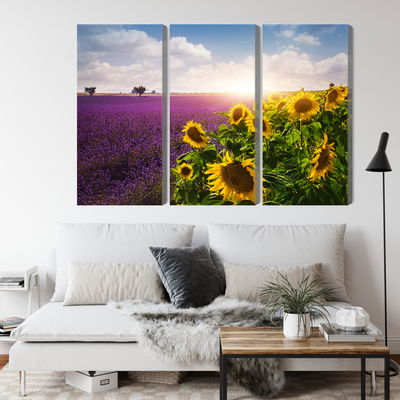 Ljuddämpande tavla - Lavender and sunflower