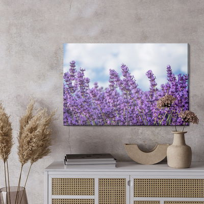 Ljuddämpande tavla - Lavender against the sky