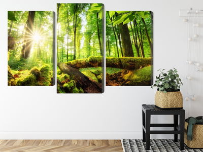 Ljuddämpande tavla - Rays of the sun in the 3d