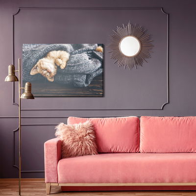 Ljuddämpande tavla - Sleeping ginger kitten