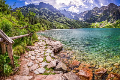 Ljuddämpande tavla - 3d view of the lake