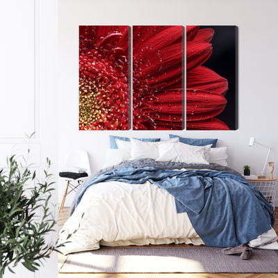 Ljuddämpande tavla - Flower petals on a macro