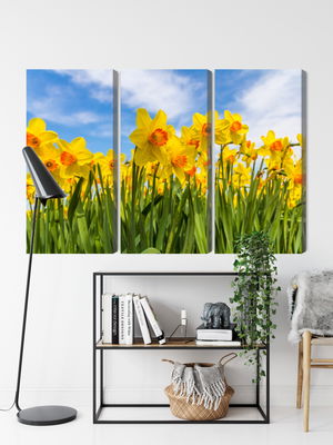 Ljuddämpande tavla - Daffodil field 3d