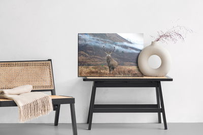 Ljuddämpande tavla - The majestic deer against