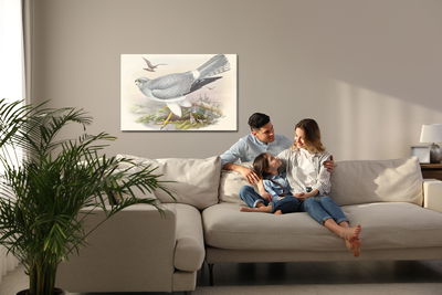 Ljuddämpande tavla - Birds of prey