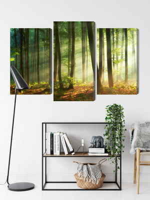 Ljuddämpande tavla - The rays of the sun