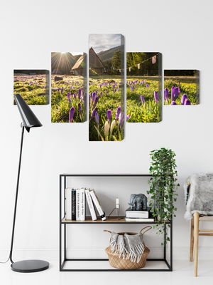 Ljuddämpande tavla - Chocholowska valley