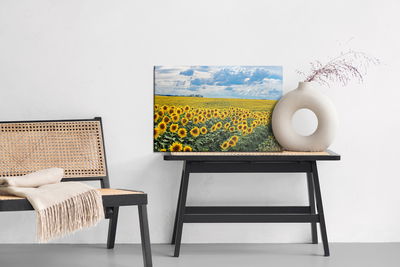 Ljuddämpande tavla - Summer landscape