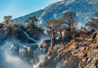 Ljuddämpande tavla - Trees at the waterfall