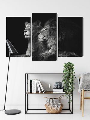 Ljuddämpande tavla - Lion and lioness on a black