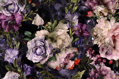 Ljuddämpande tavla - Peony roses in watercolor