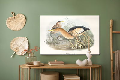 Ljuddämpande tavla - Water birds