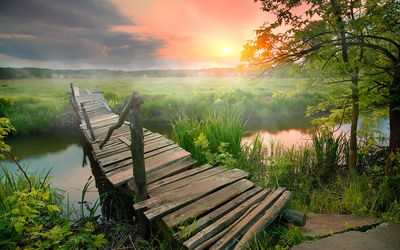 Ljuddämpande tavla - Meadow at dawn