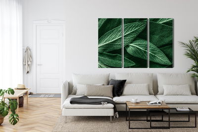 Ljuddämpande tavla - Salvia leaves on a macro