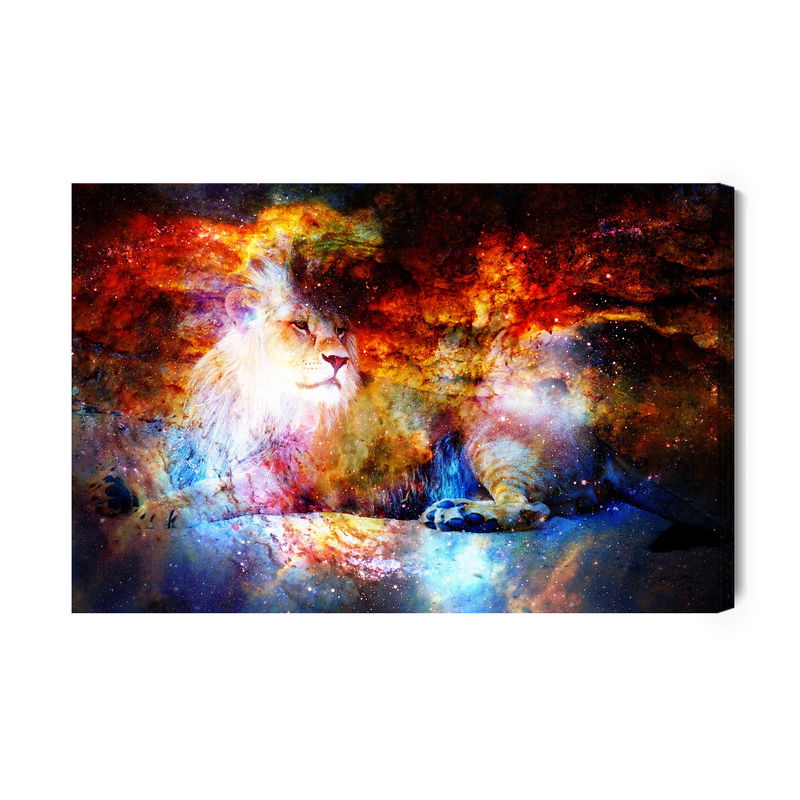 Ljuddämpande tavla - Lion in outer space