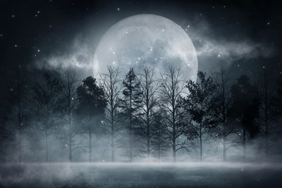 Ljuddämpande tavla - Full moon in a misty forest