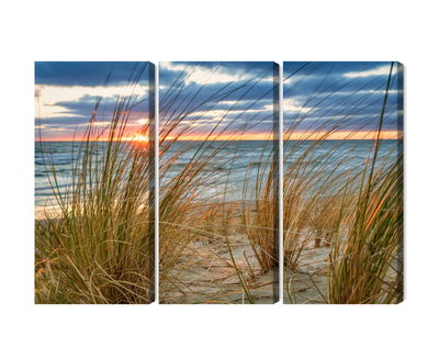 Ljuddämpande tavla - Sunrise on the beach of rügen