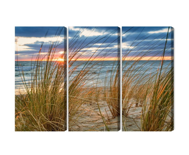 Ljuddämpande tavla - Sunrise on the beach of rügen