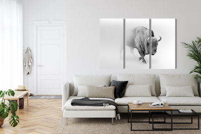 Ljuddämpande tavla - Bison in the fog 3d