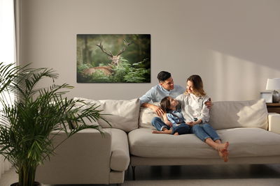 Ljuddämpande tavla - A deer in the green