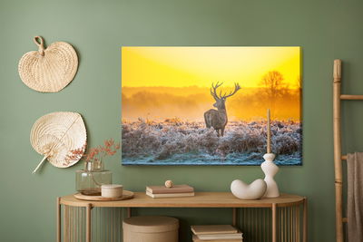 Ljuddämpande tavla - Deer at dawn