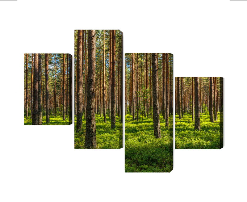 Ljuddämpande tavla - 3d pine forest