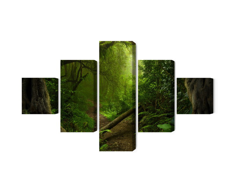 Ljuddämpande tavla - Path in the tropical forest