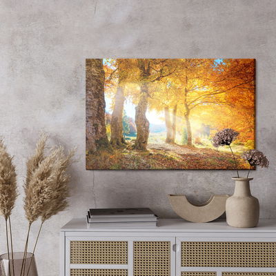 Ljuddämpande tavla - Warm autumn landscape