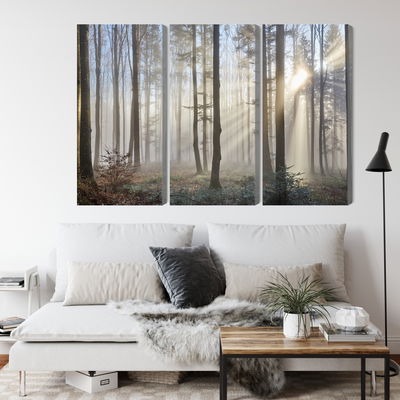 Ljuddämpande tavla - Sunrise in the woods